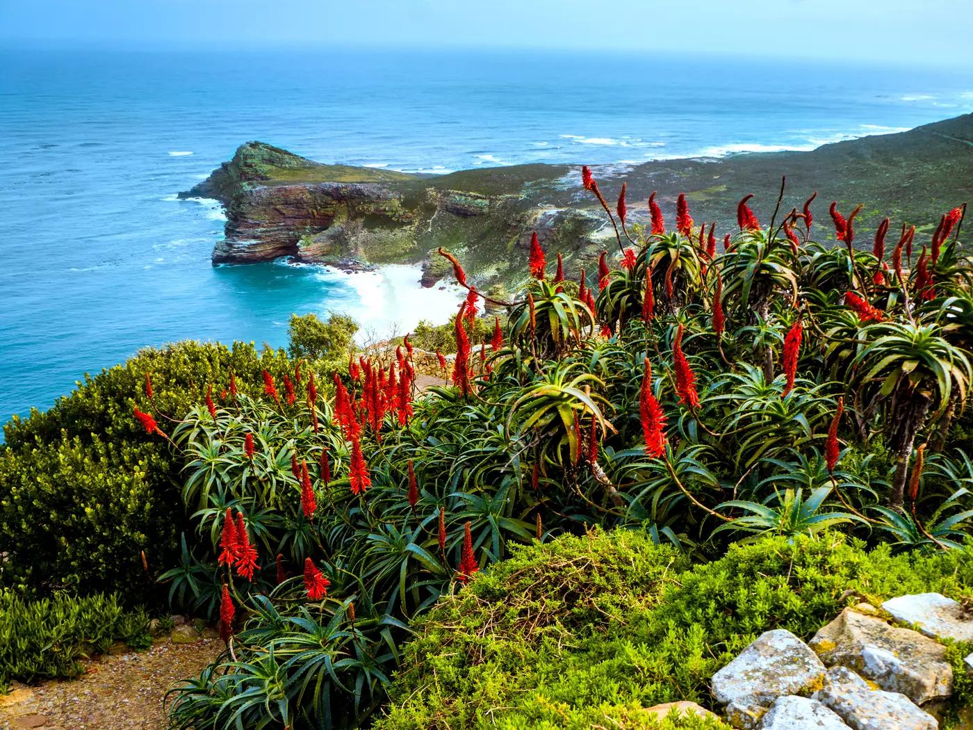 The Cape of Good Hope