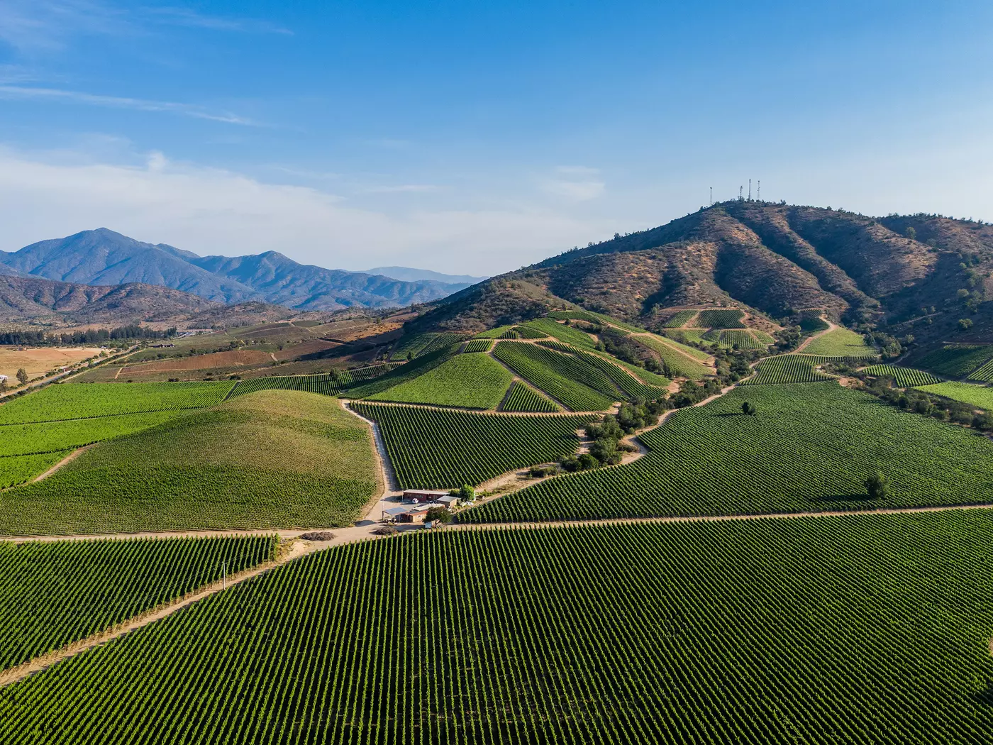 Casablanca Valley