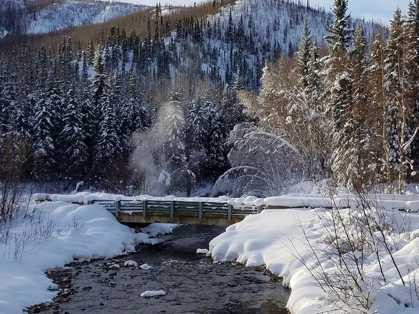 Chena Hot Springs