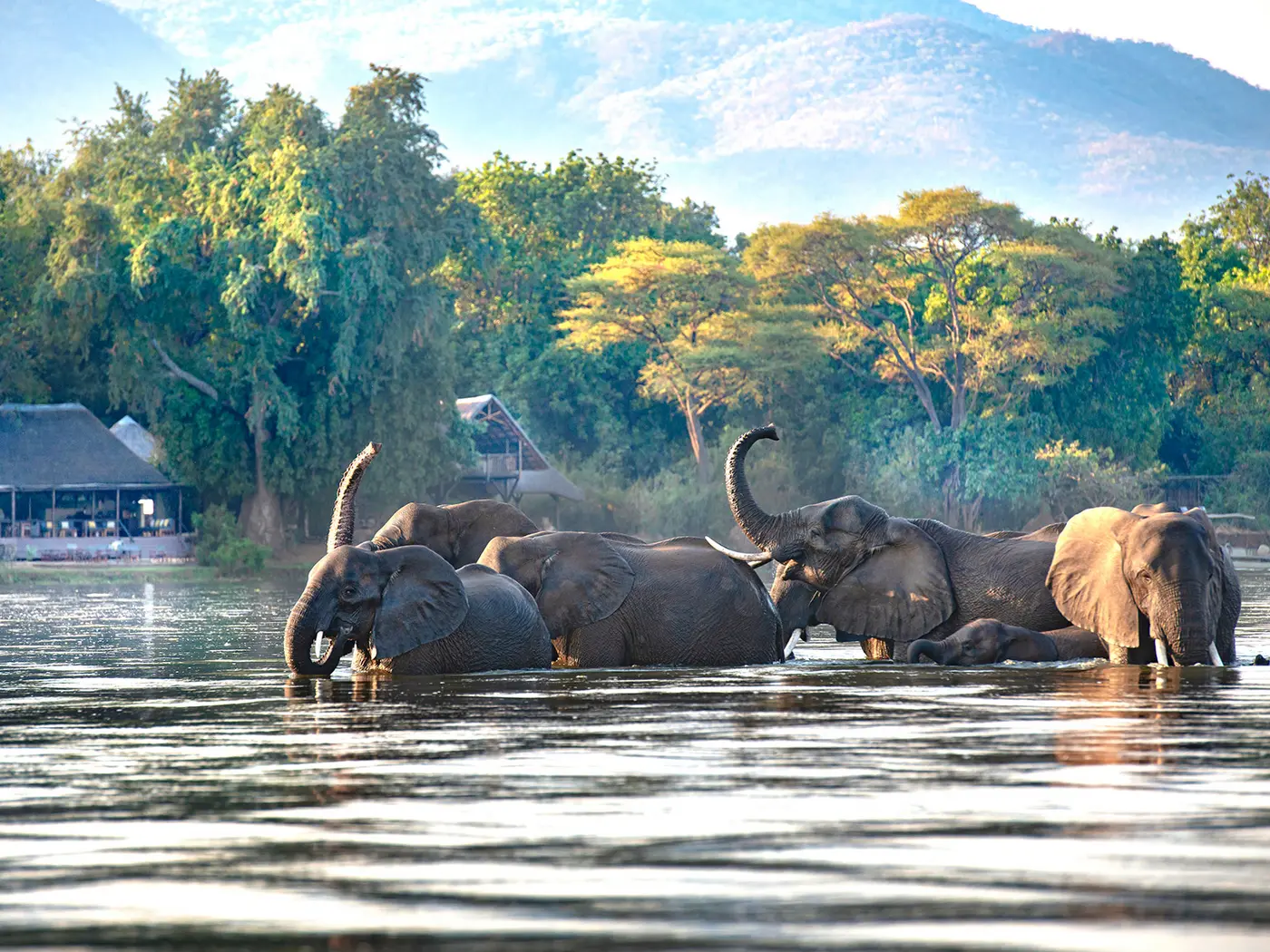 Lower Zambezi National Park