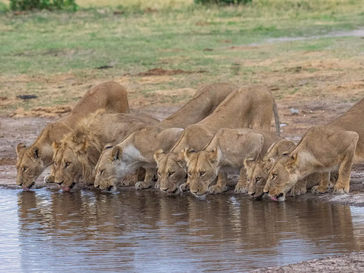 Chobe National Park