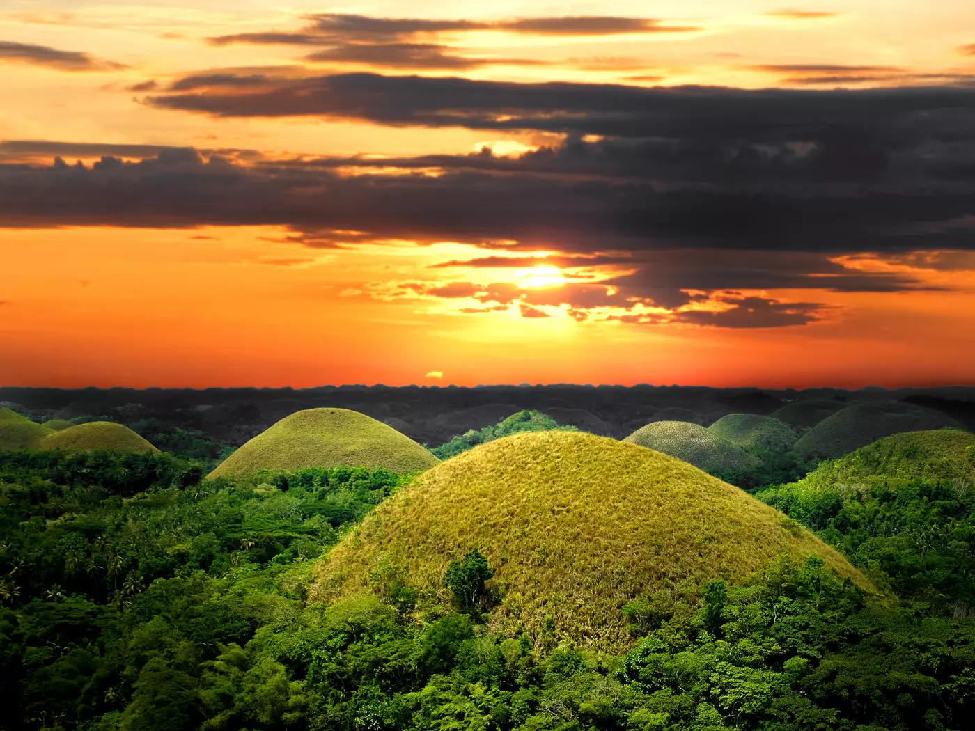 The Chocolate Hills, Bohol