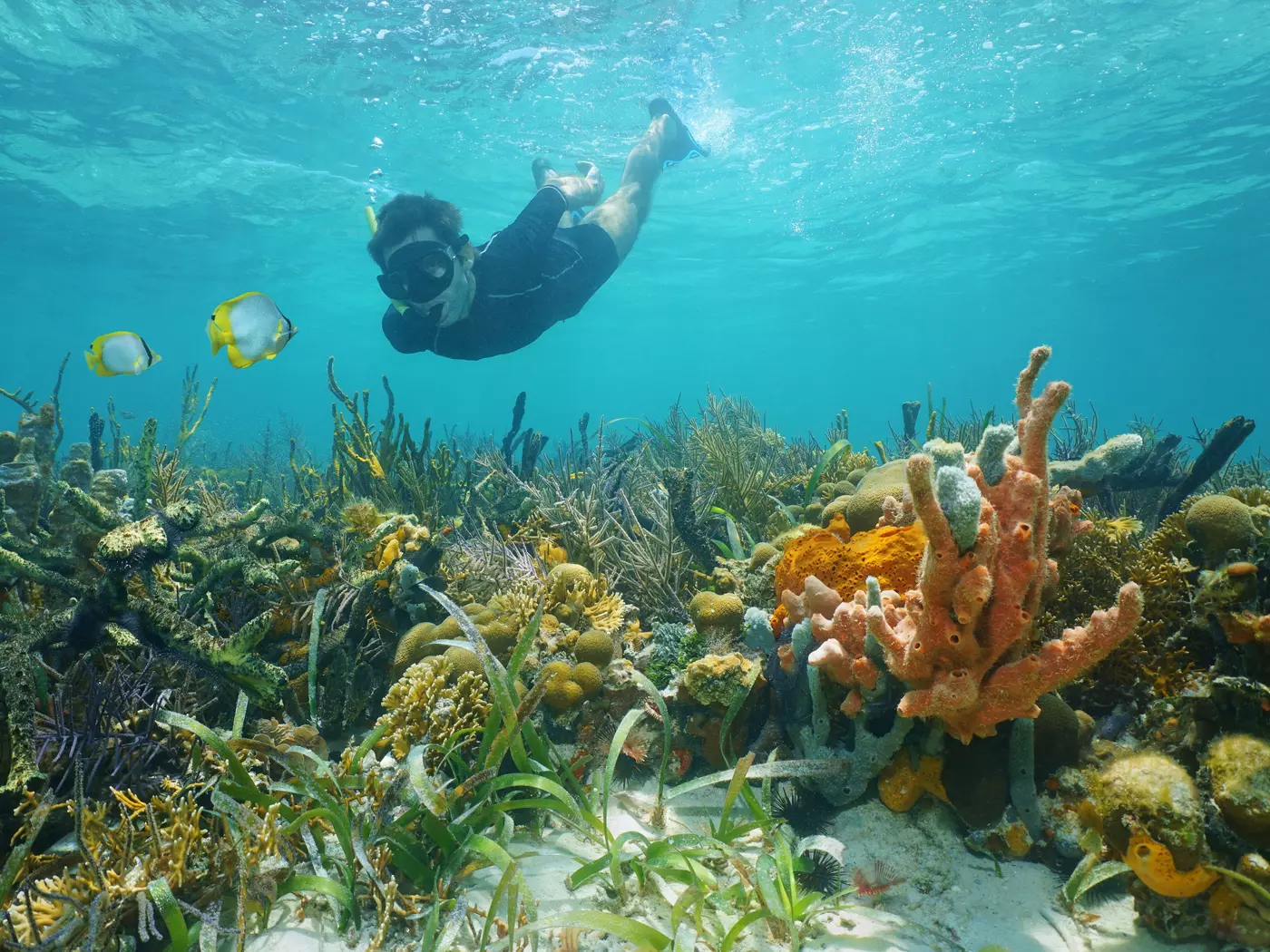 Coral Cay