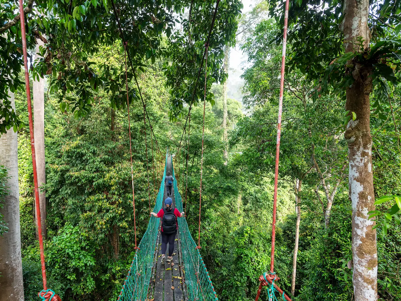 Danum Valley