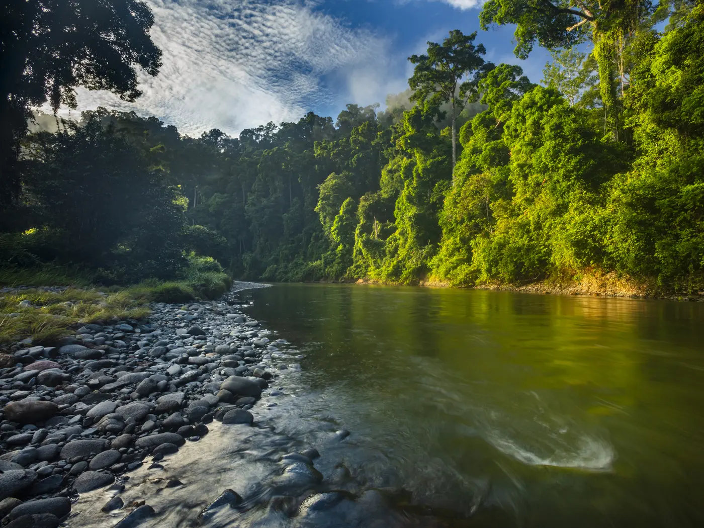 Danum Valley