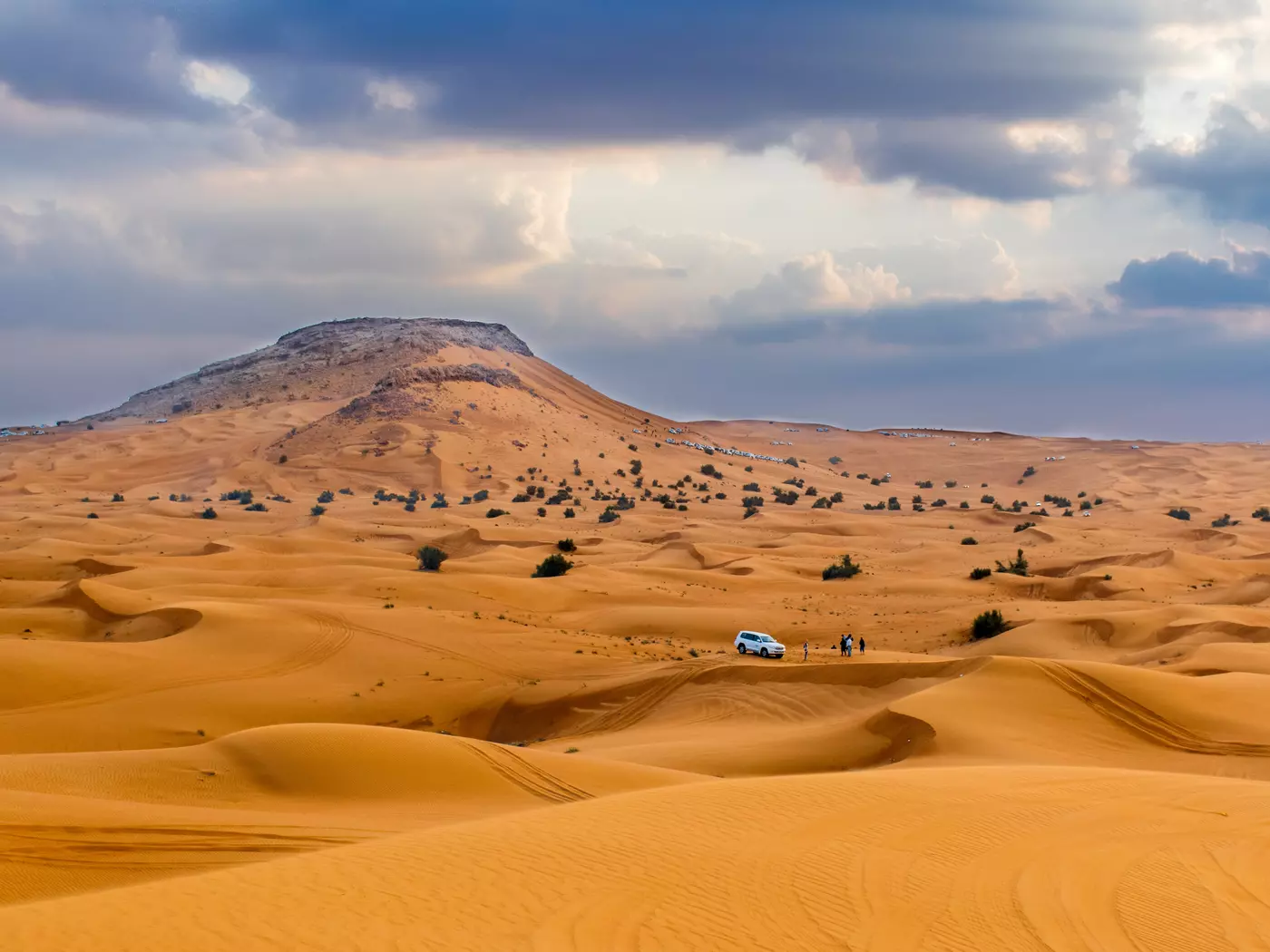 Explore the Arabian Desert