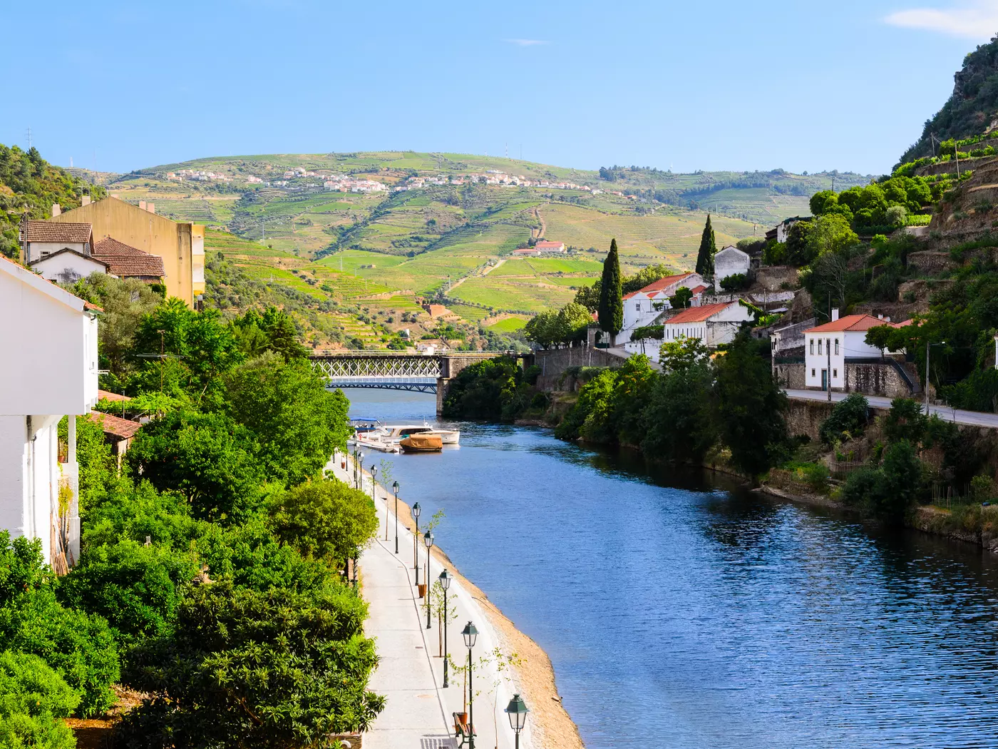 The Douro Valley