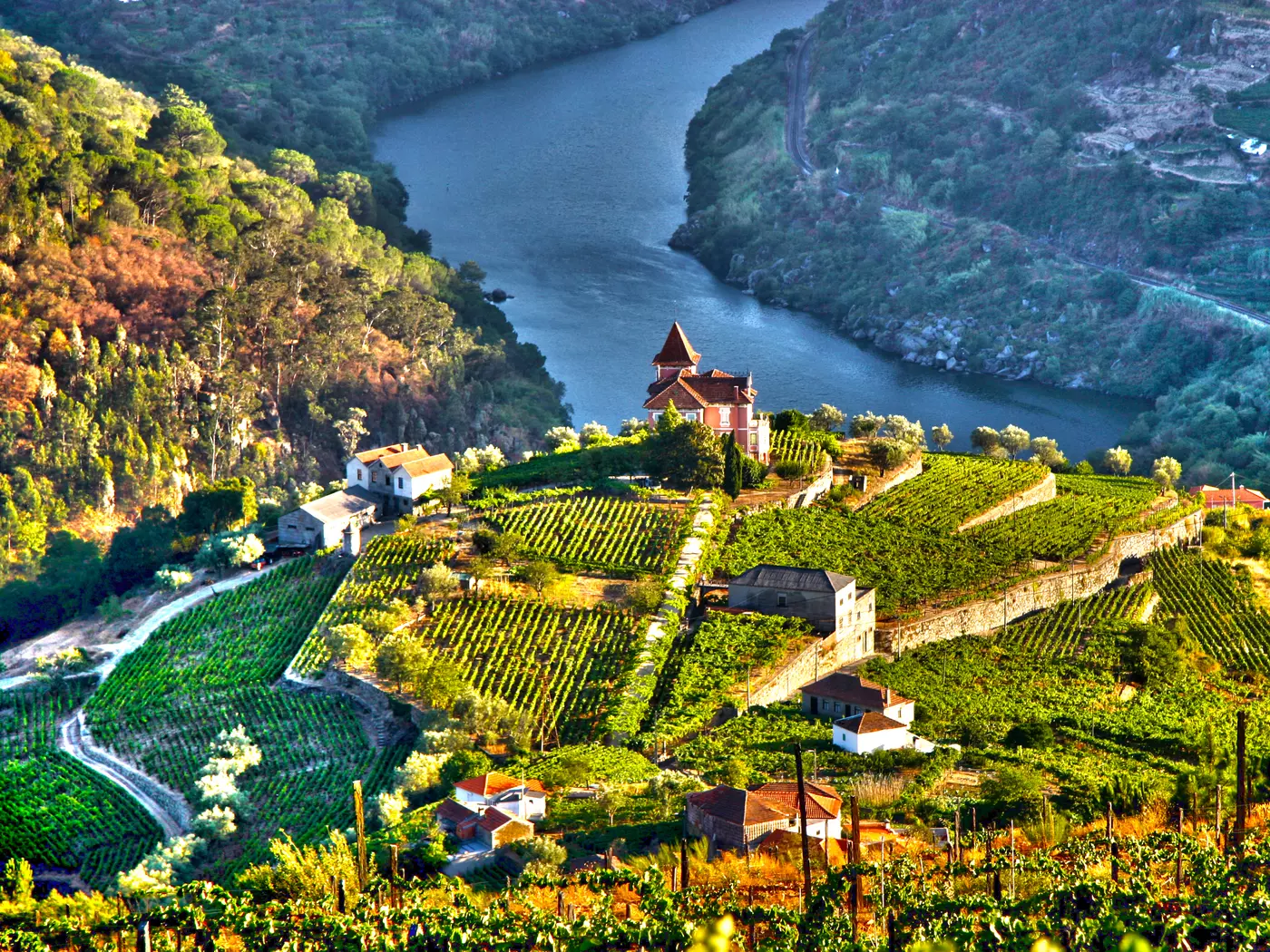 Douro Valley
