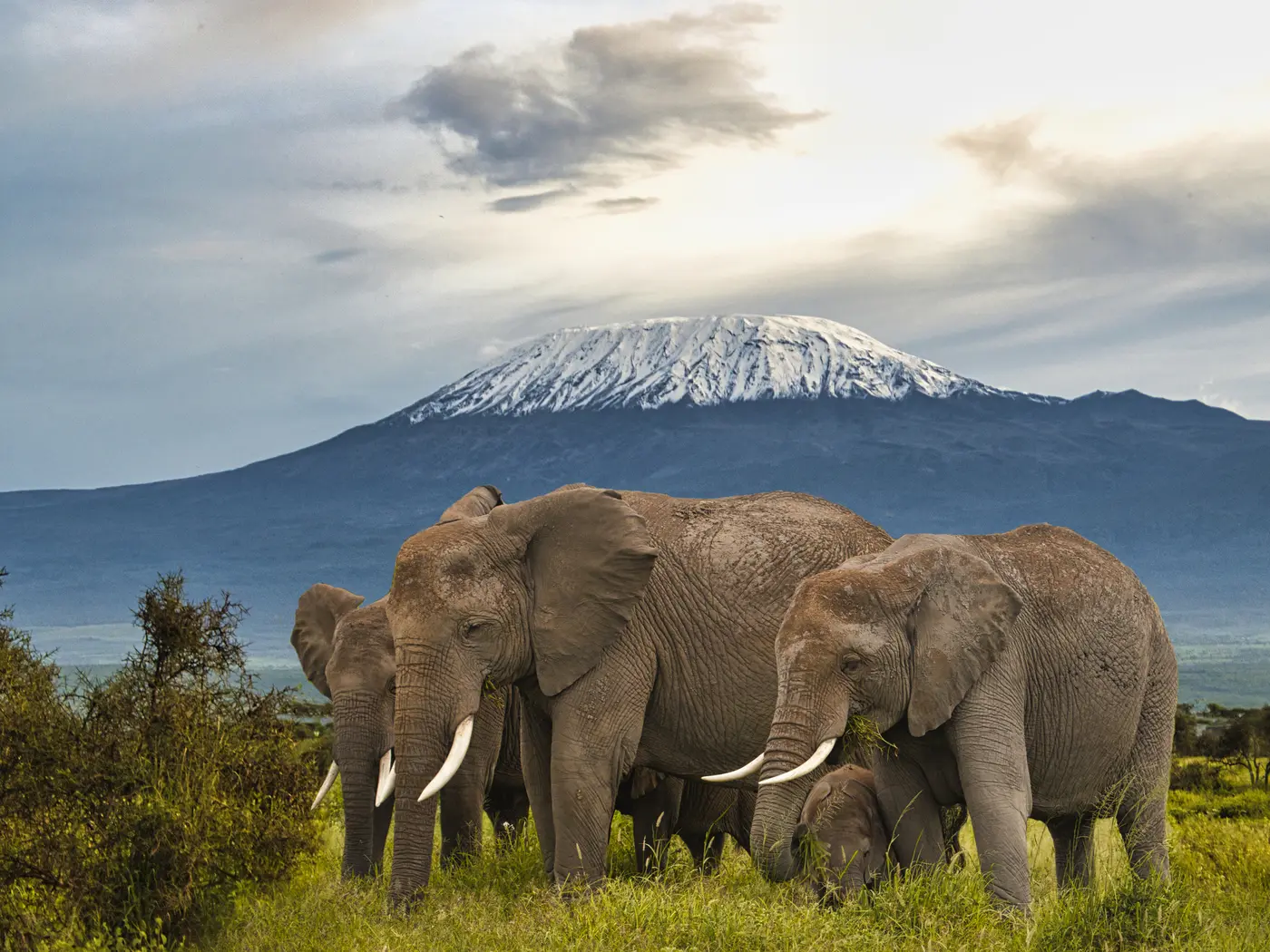 Amboseli National Park
