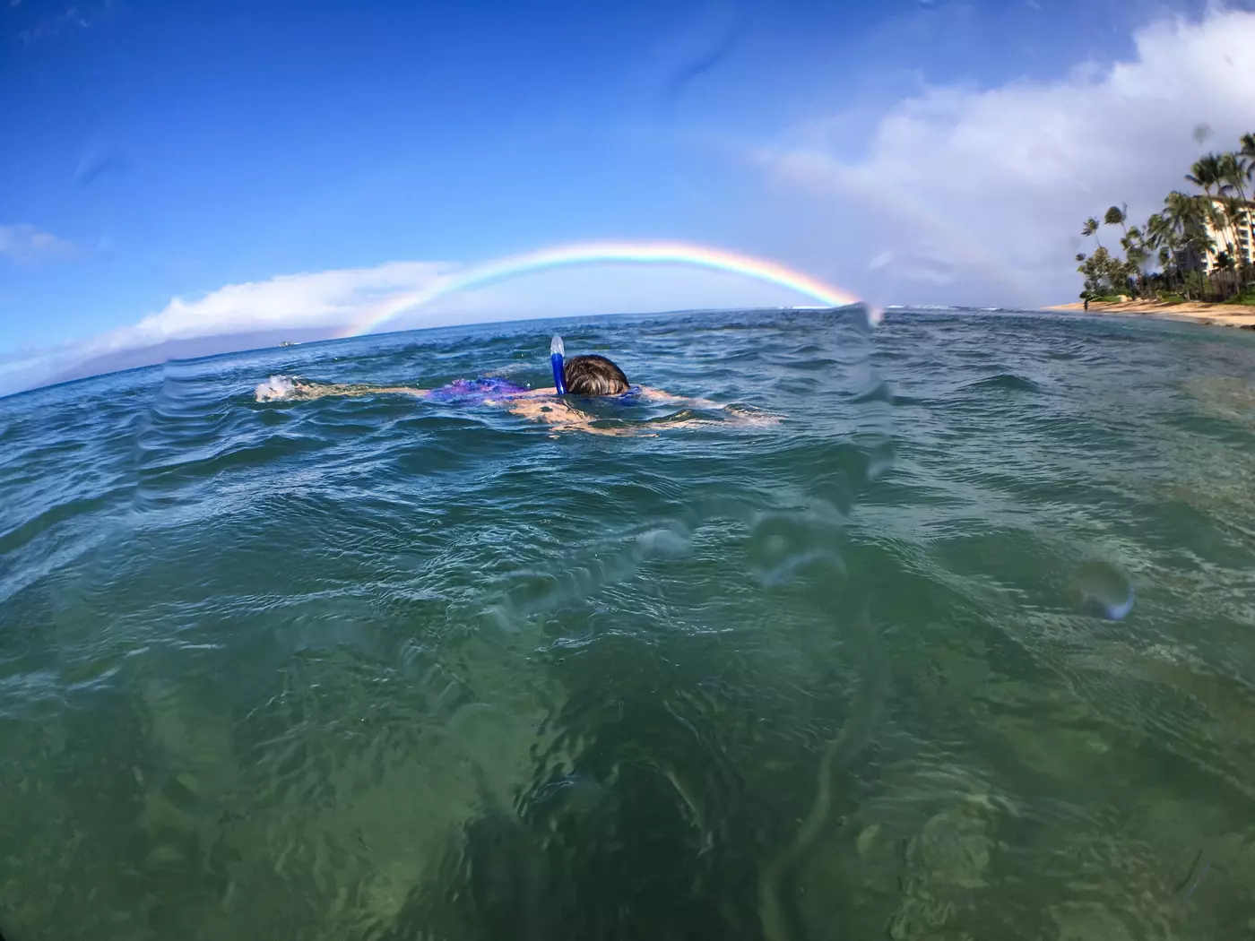 Experience Snorkeling in Maui