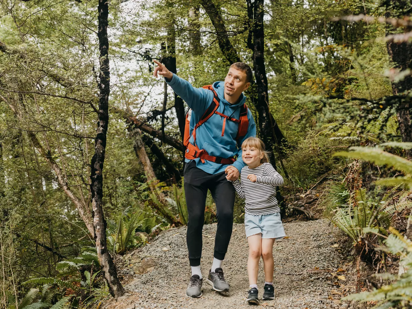 Exploring New Zealand
