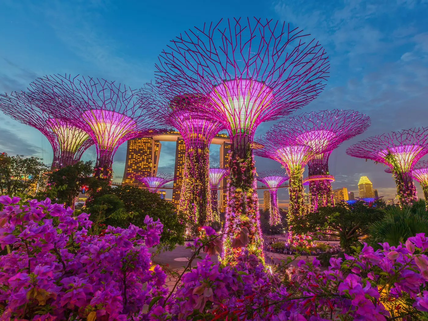 Gardens by the Bay, Singapore