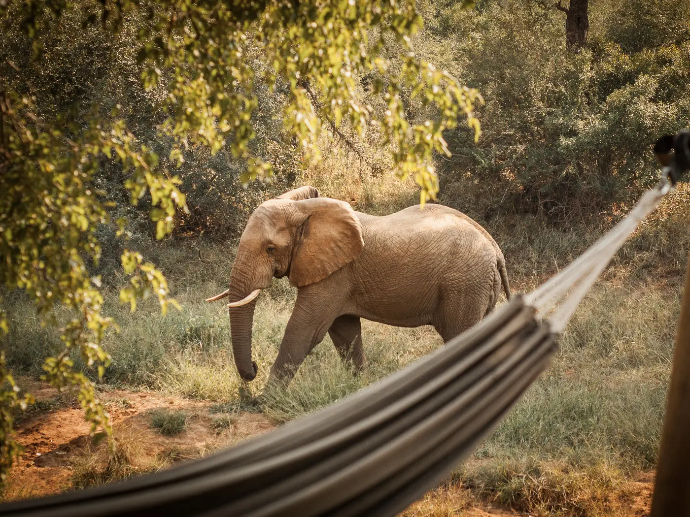 Garonga Safari Camp