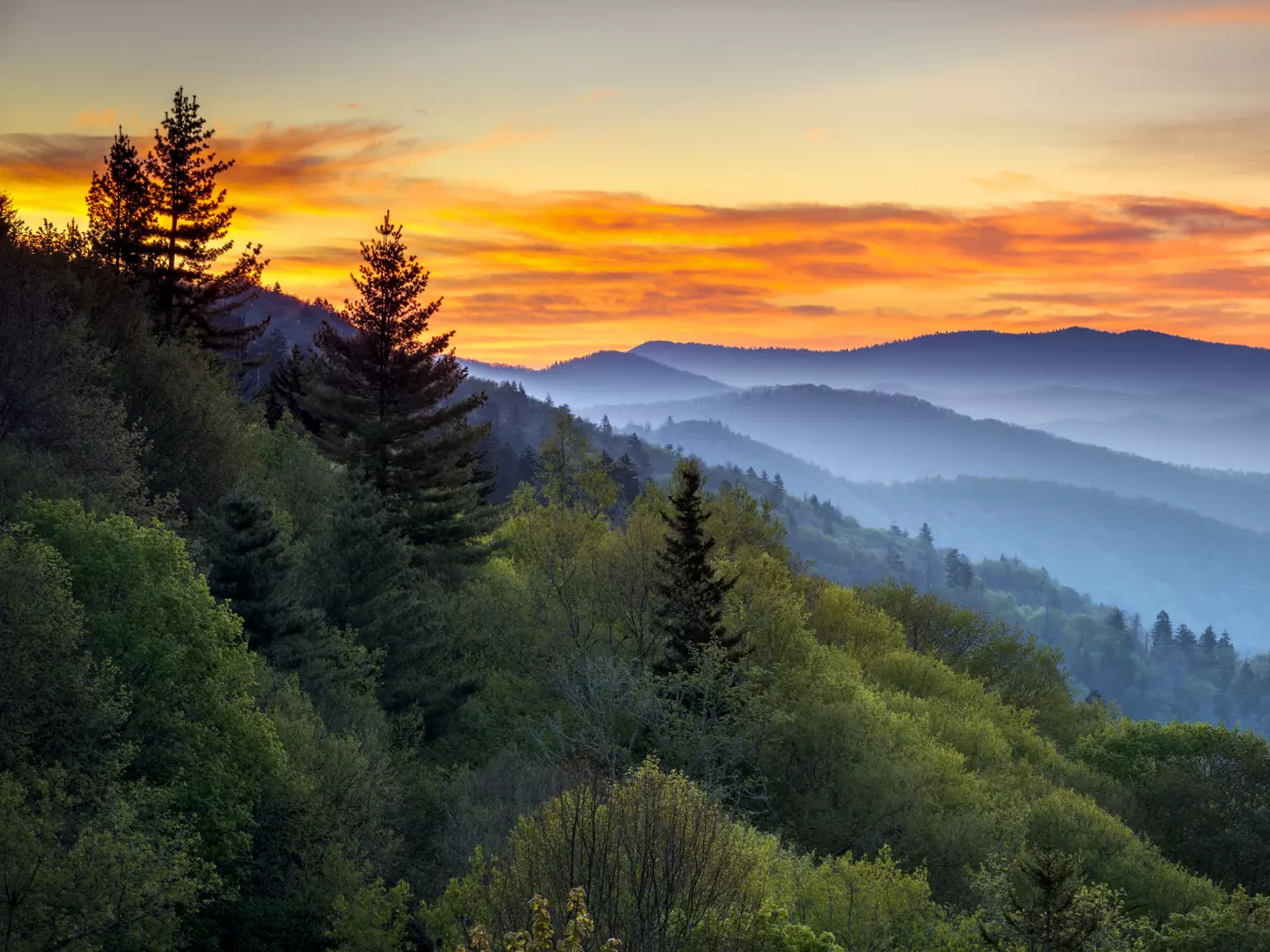 The Great Smoky Mountains National Park