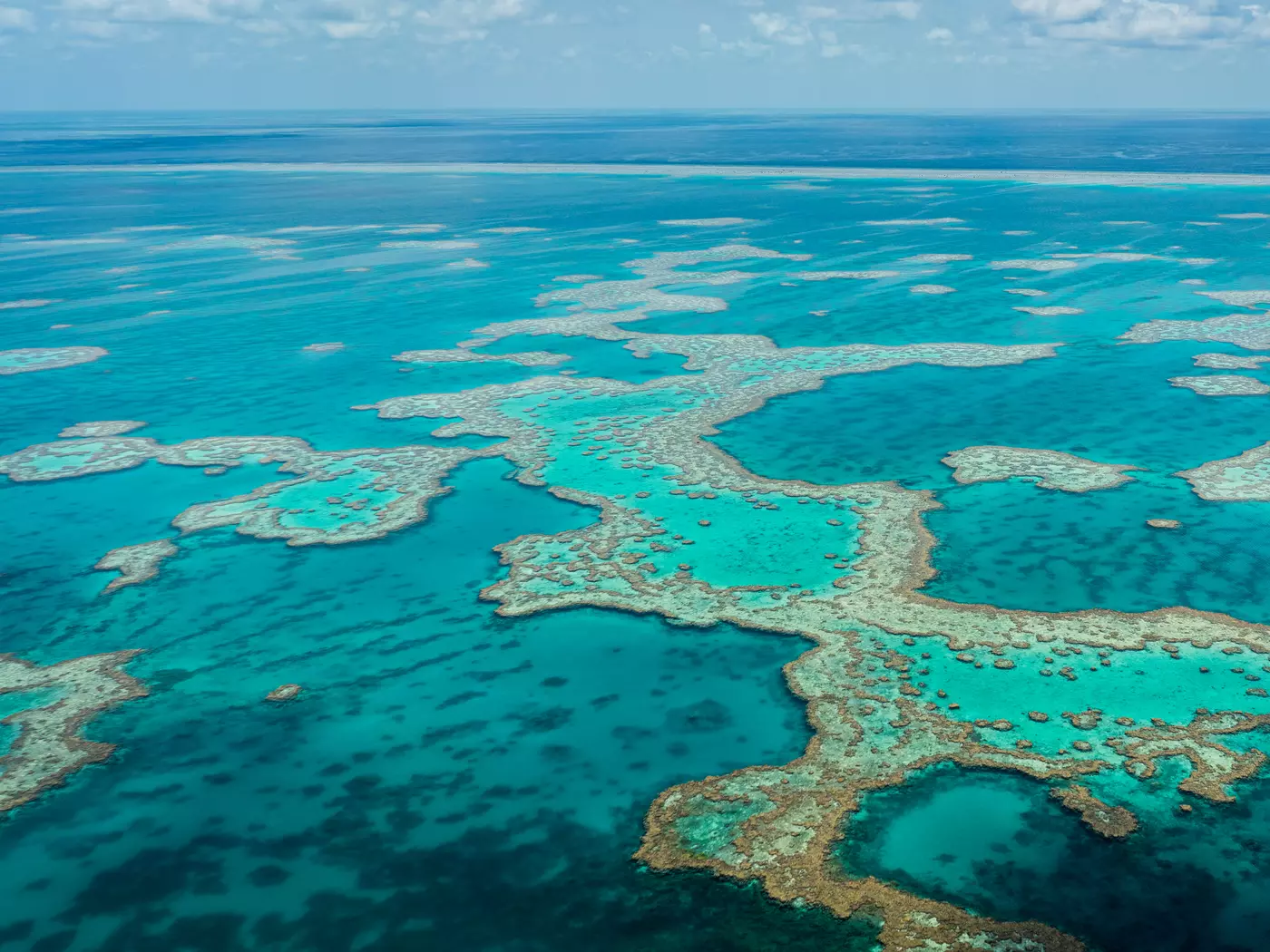 The Great Barrier Reef 