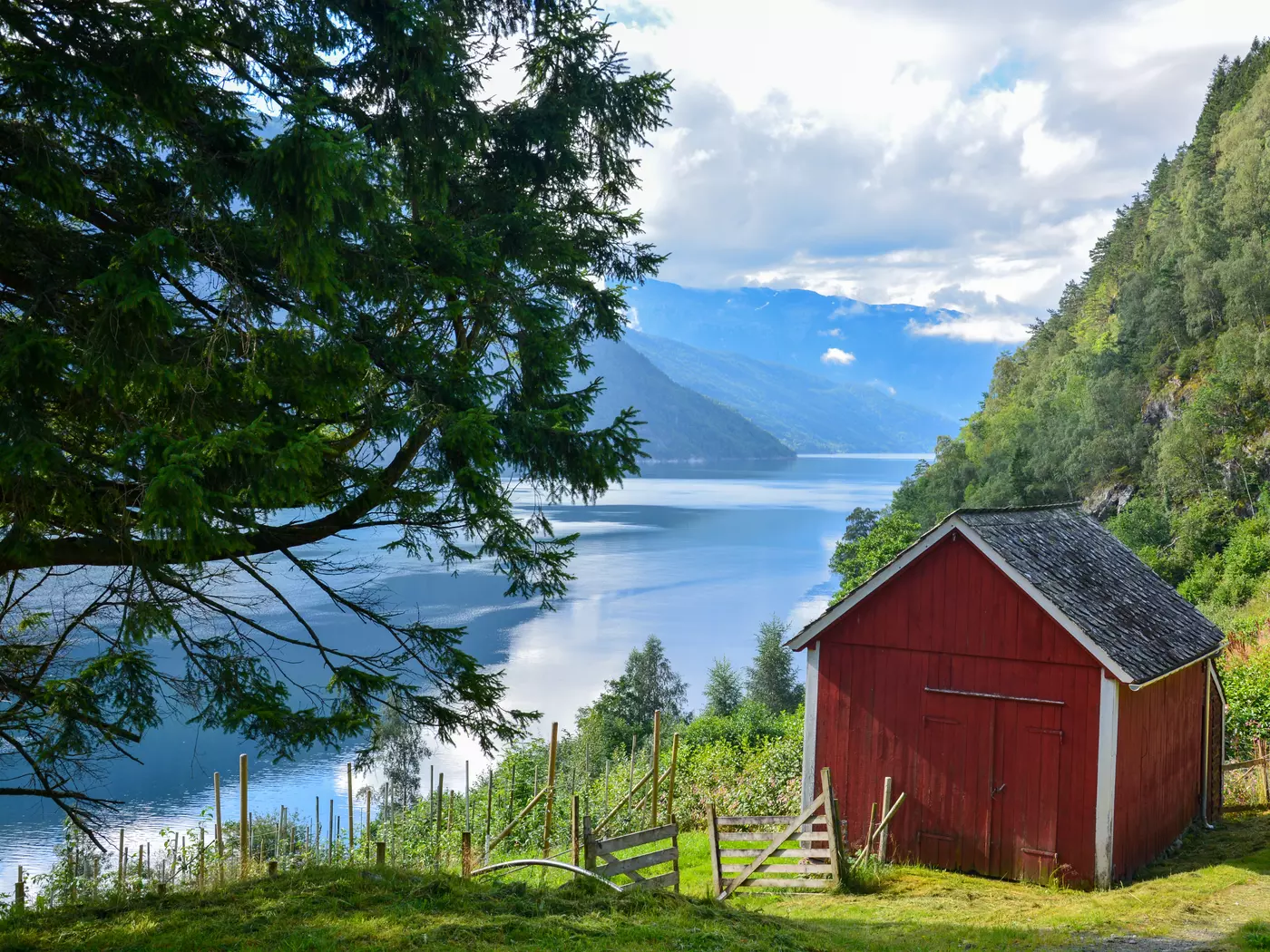 Hardangerfjord