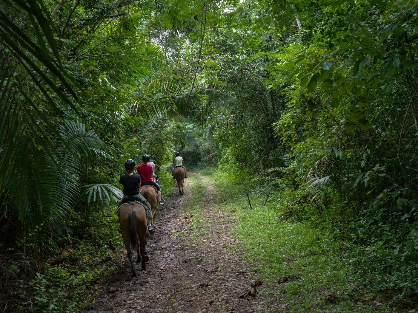 Chaa Creek Nature Reserve, San Ignacio