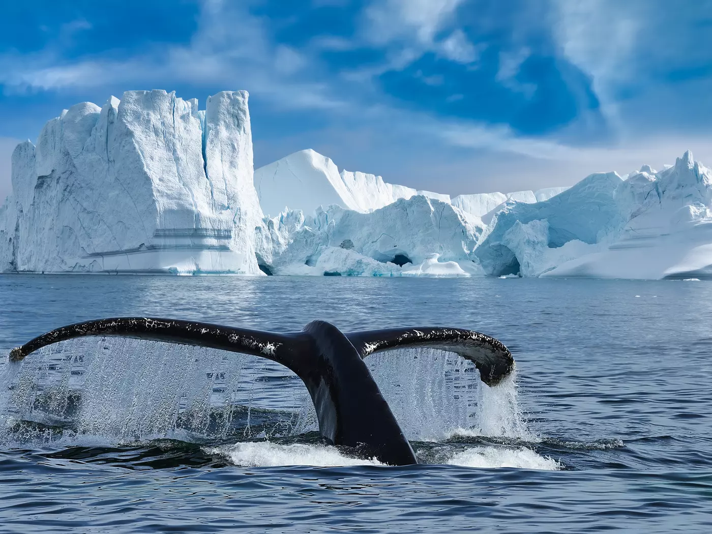 Ilulissat Icefjord