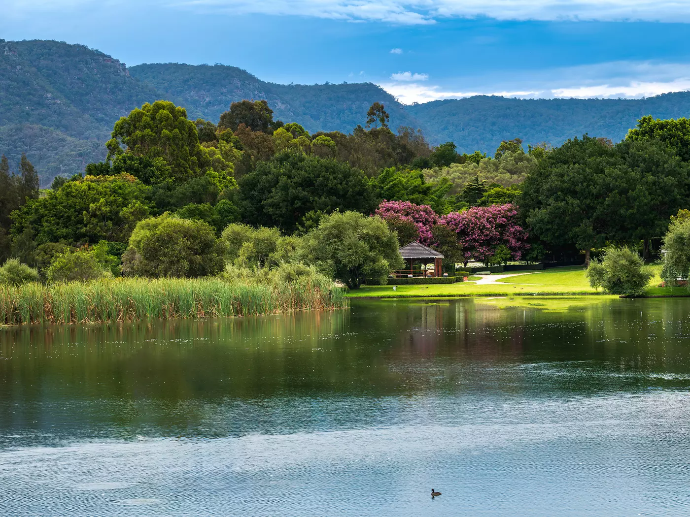 The Hunter Valley