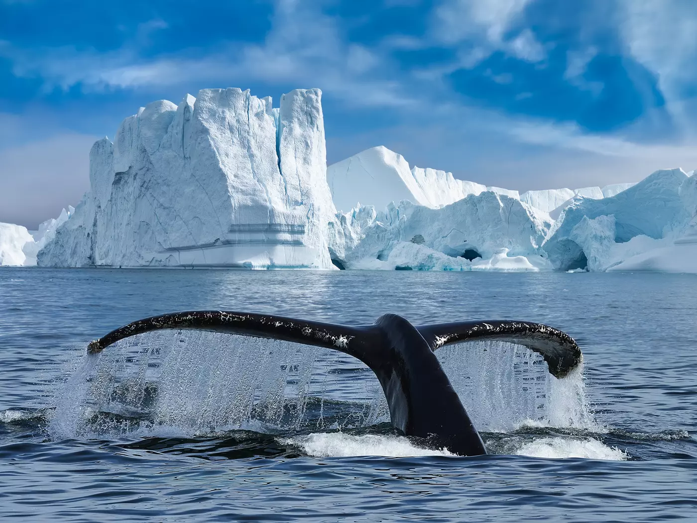 The Ilulissat Icefjord