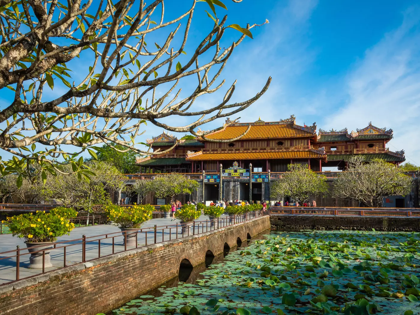 Imperial Royal Palace also known as the Forbidden Purple City, Hue, Vietnam