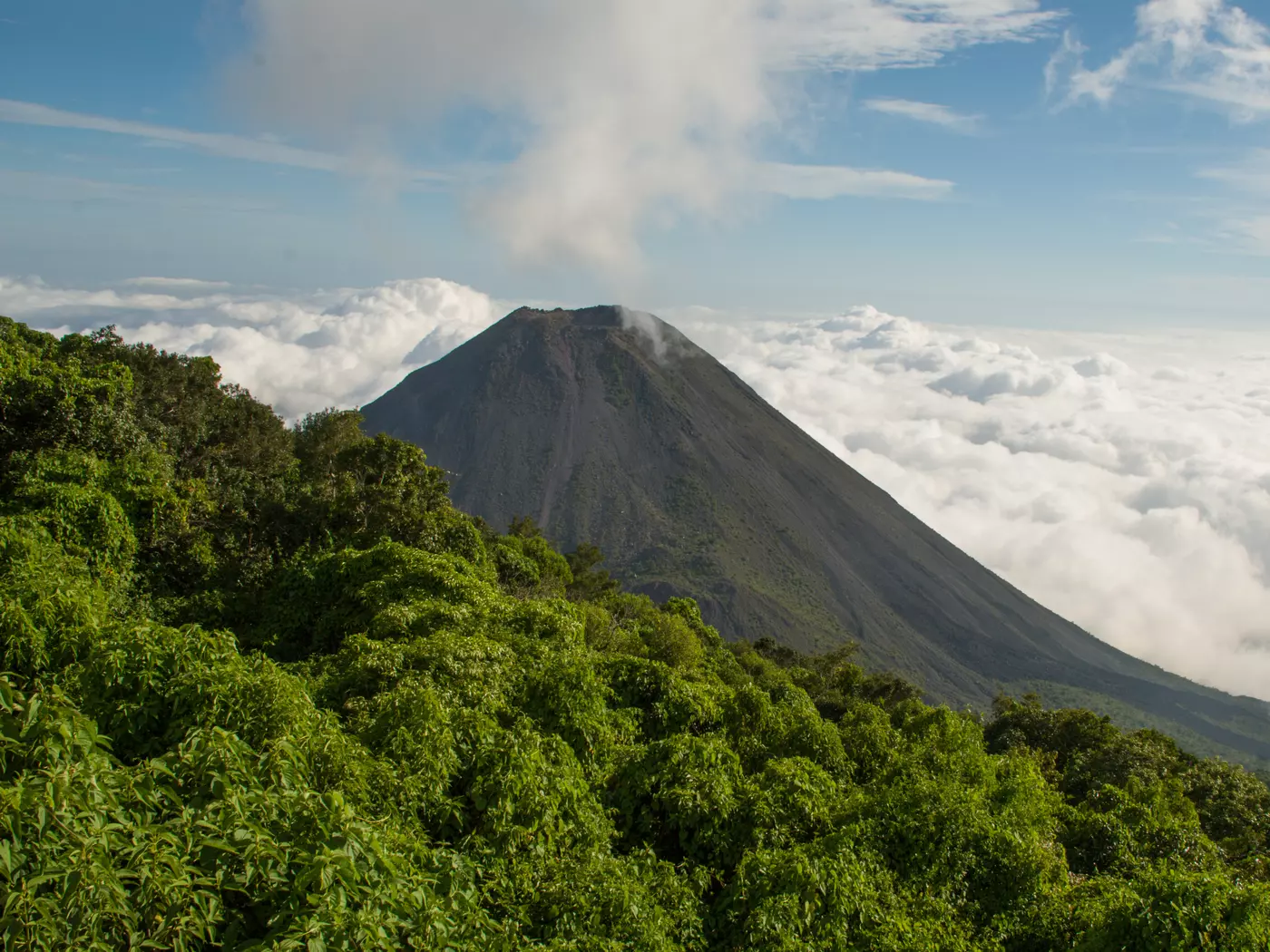 Izalco Volcano, Cerro Verde National Park