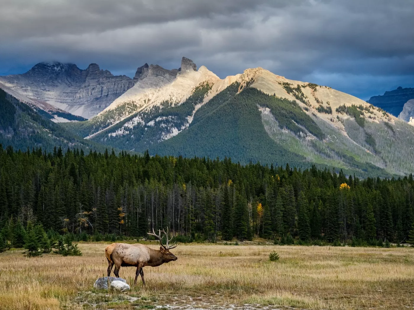 Jasper National Park, Alberta, Canada
