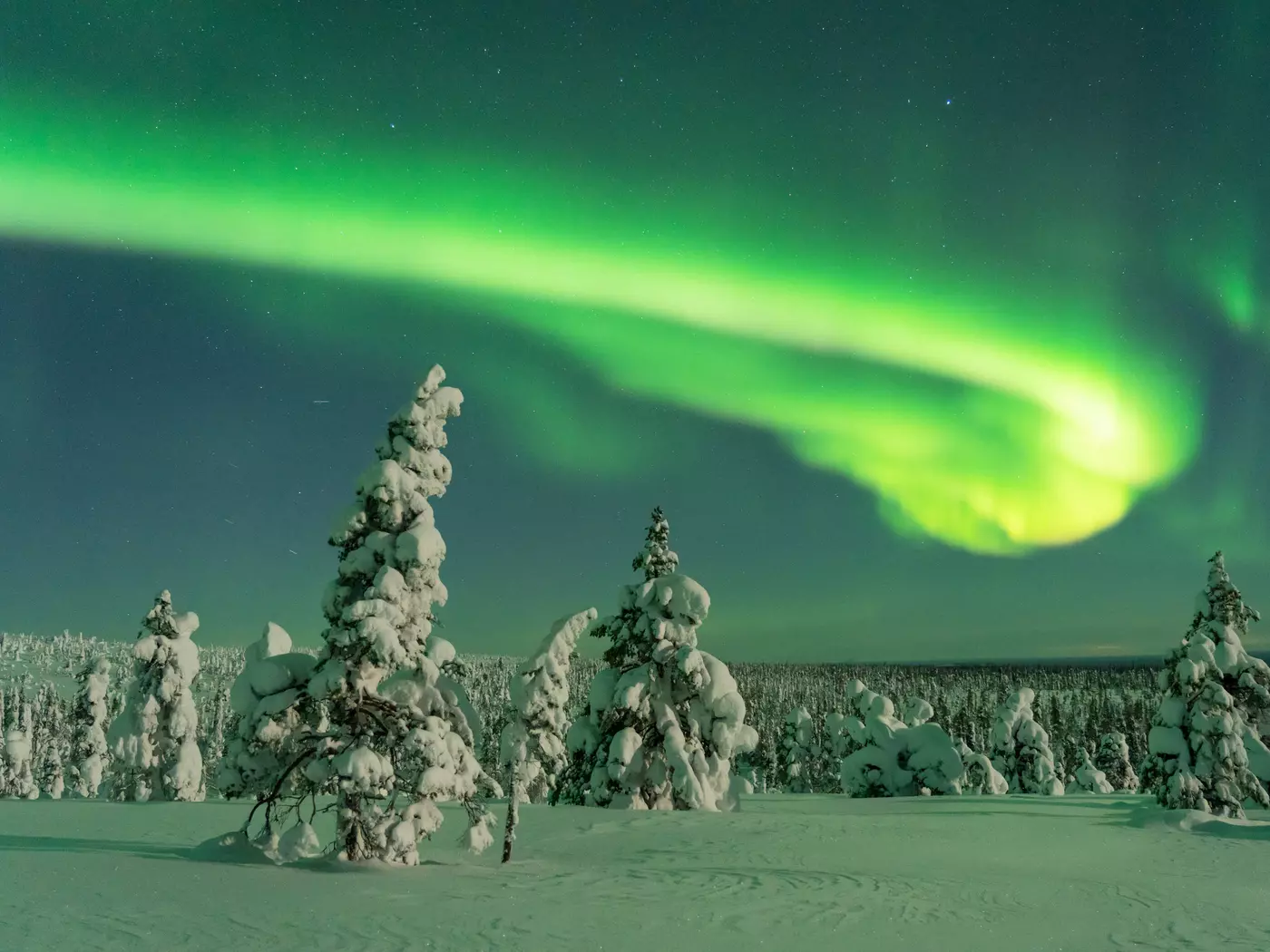 The Northern Lights
