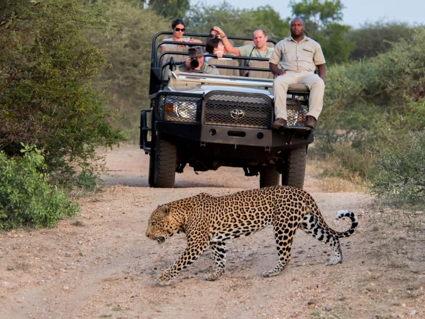 Kapama Game Reserve