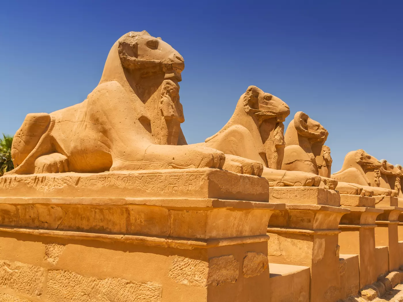 The Avenue of Sphinxes