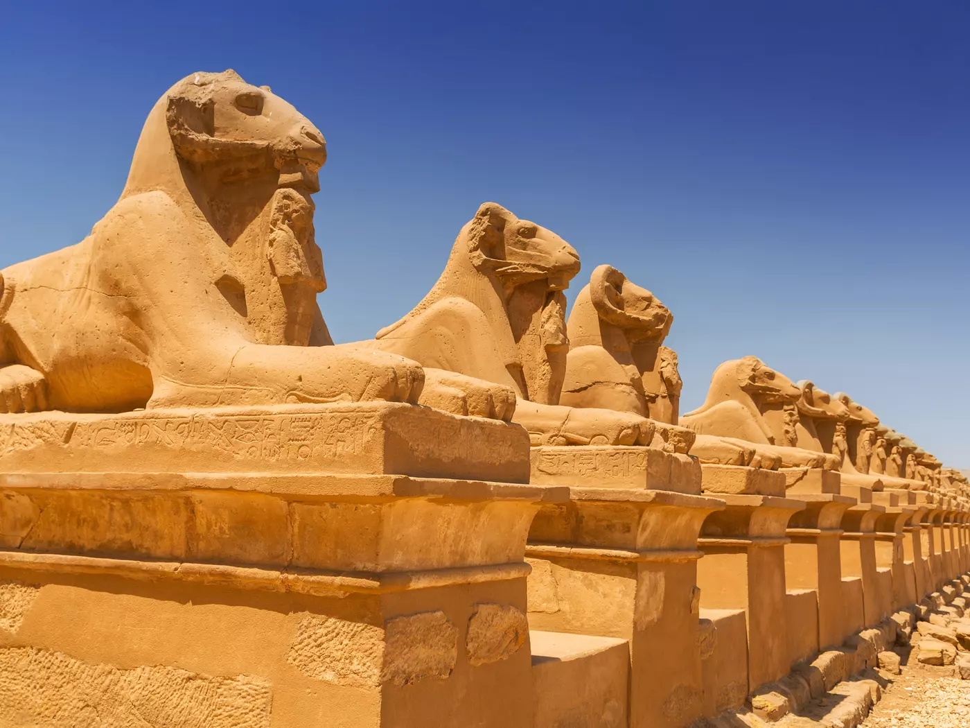 The Avenue of Sphinxes