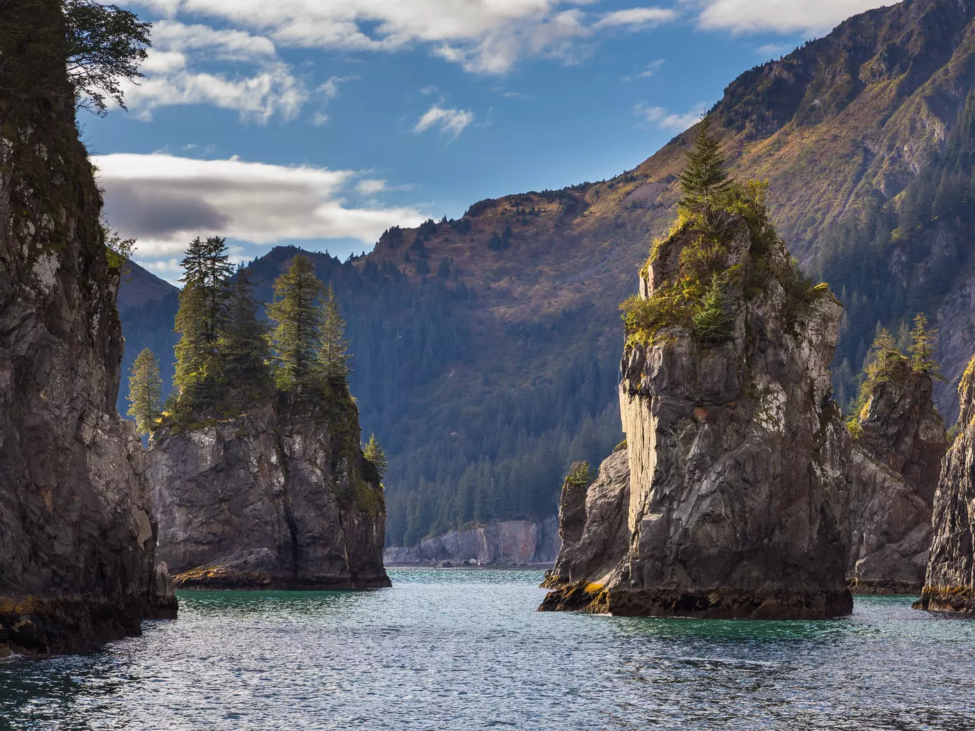 Kenai Fjords National Park