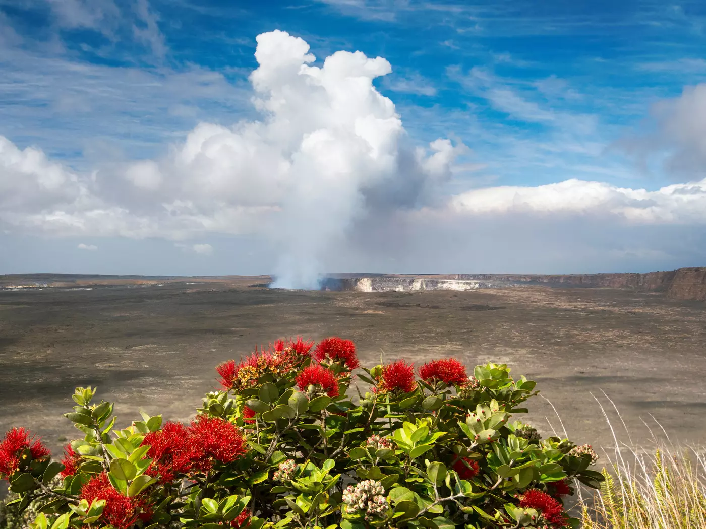 Kilauea volcano, Halemaumau crater, Big Island