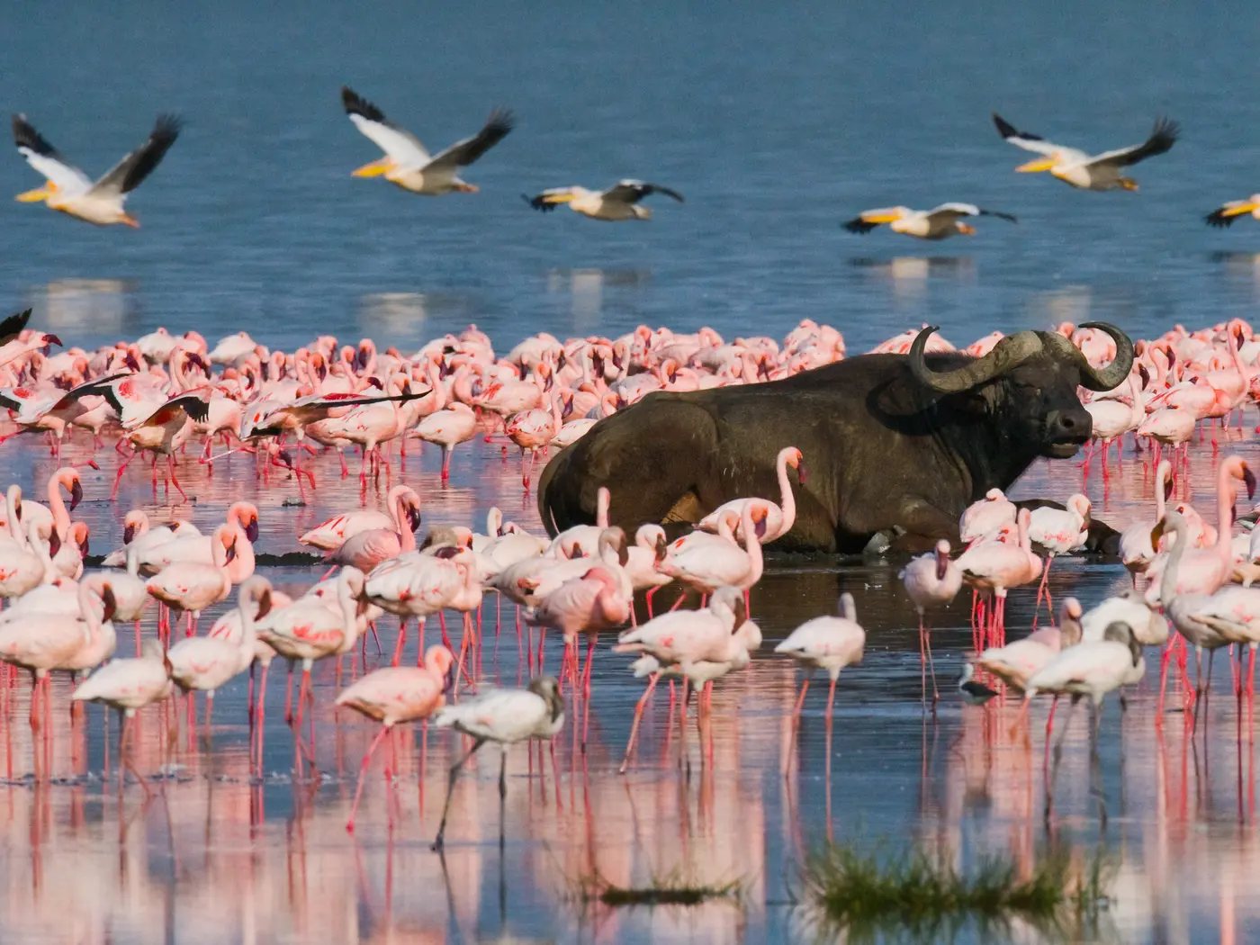 Lake Bogoria National Reserve