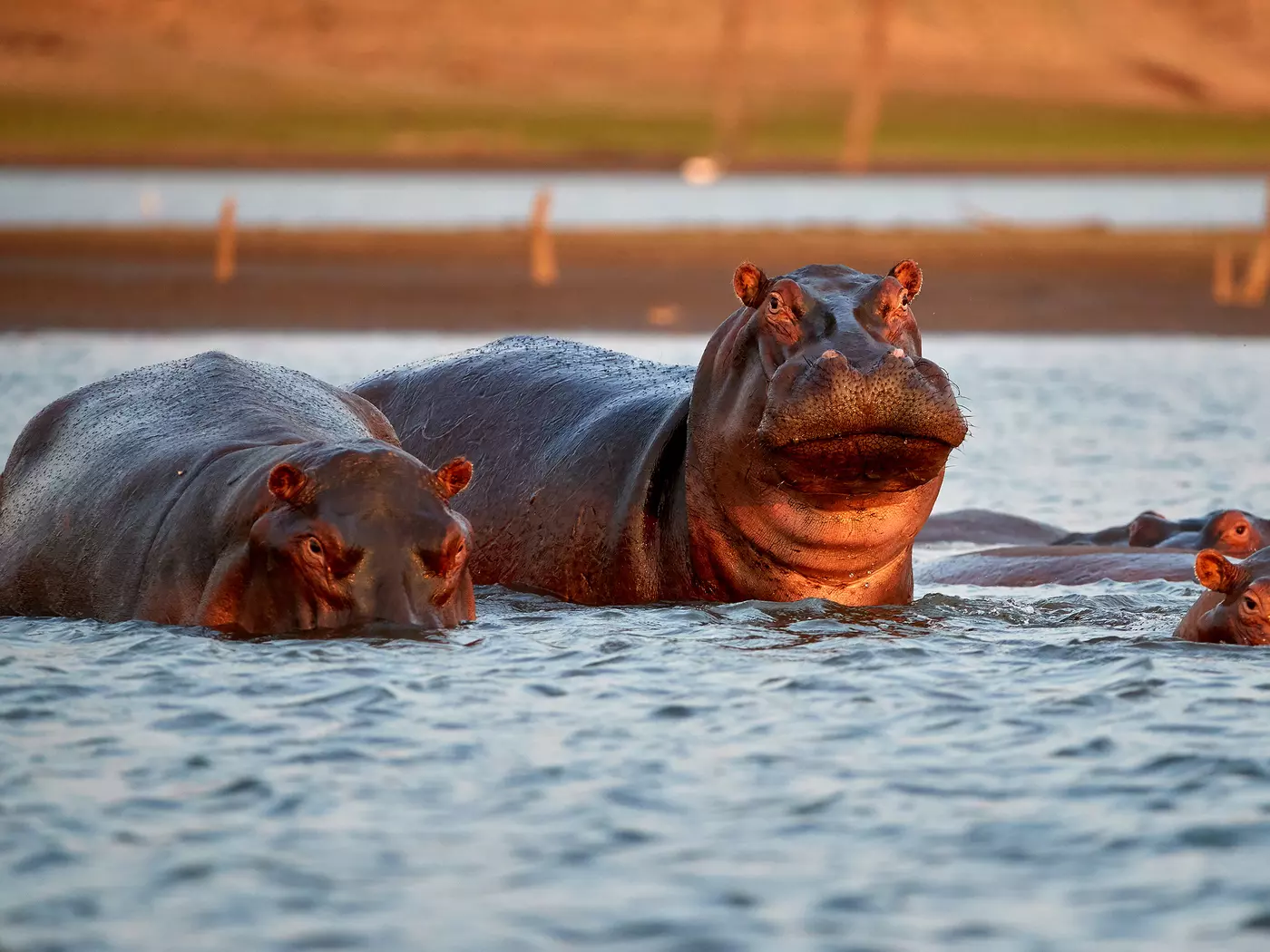 Lake Kariba