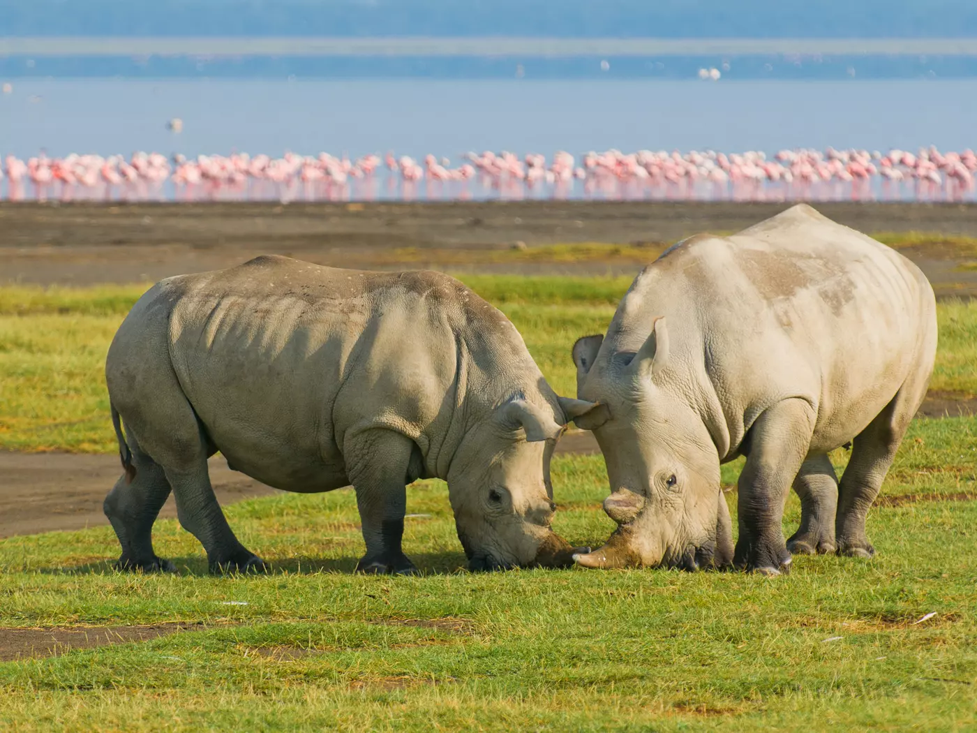 Lake Nakuru National Park