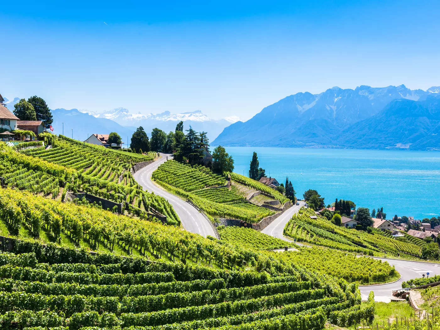 Lavaux Region Vineyards, Switzerland 