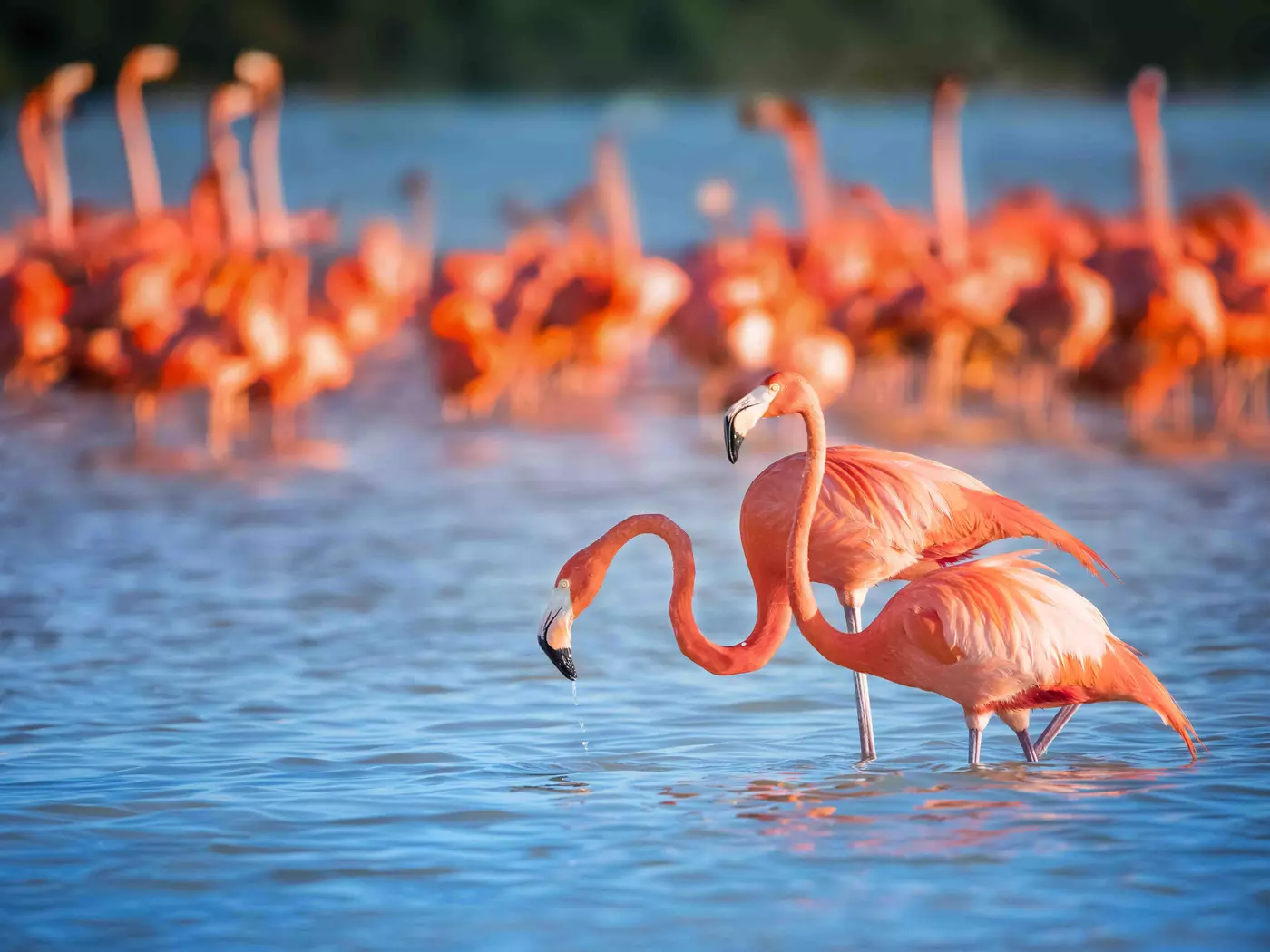 Lake Nakuru National Park Great Rift Valley, Lake Nakuru National Park