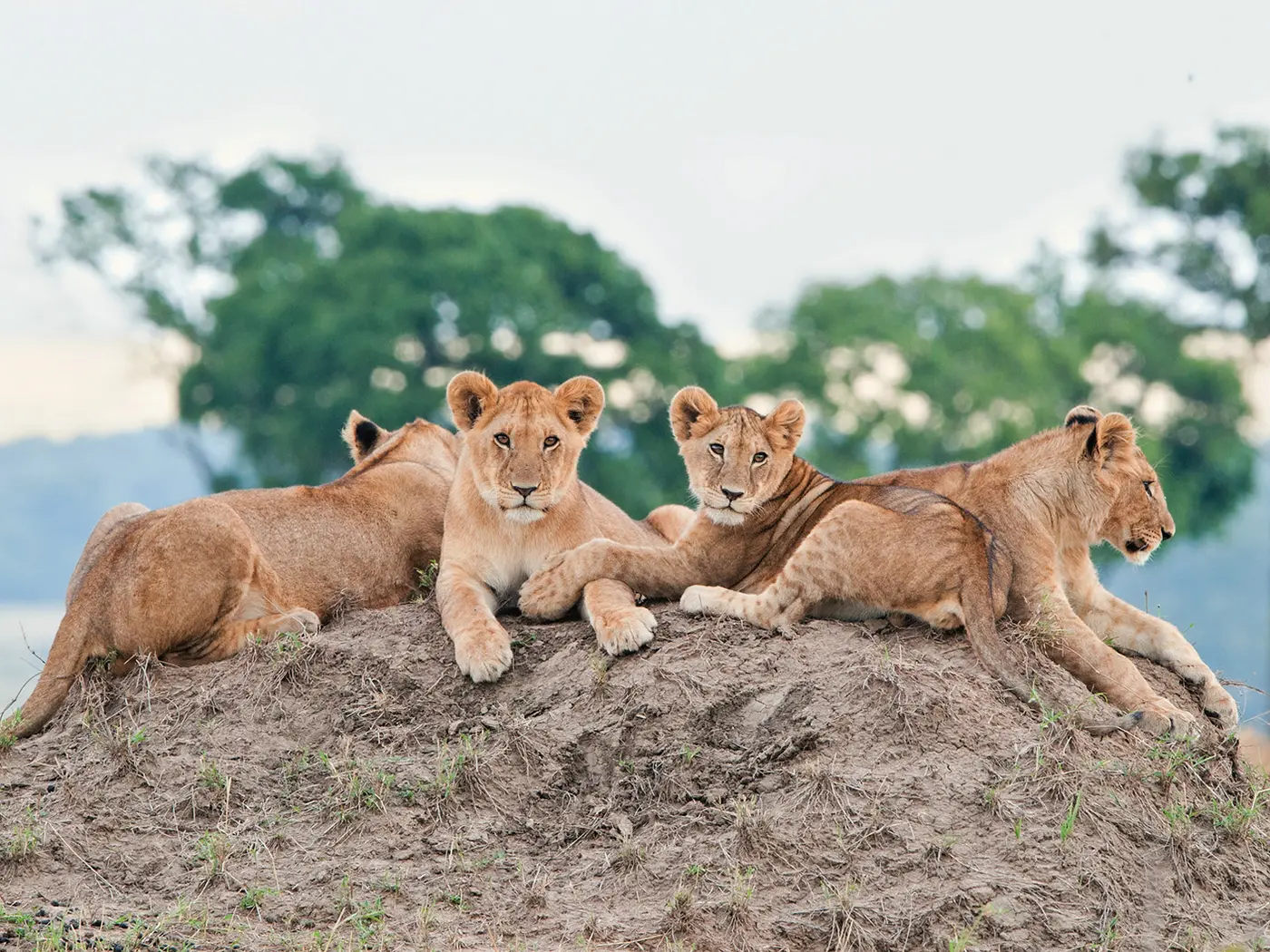 Serengeti National Park