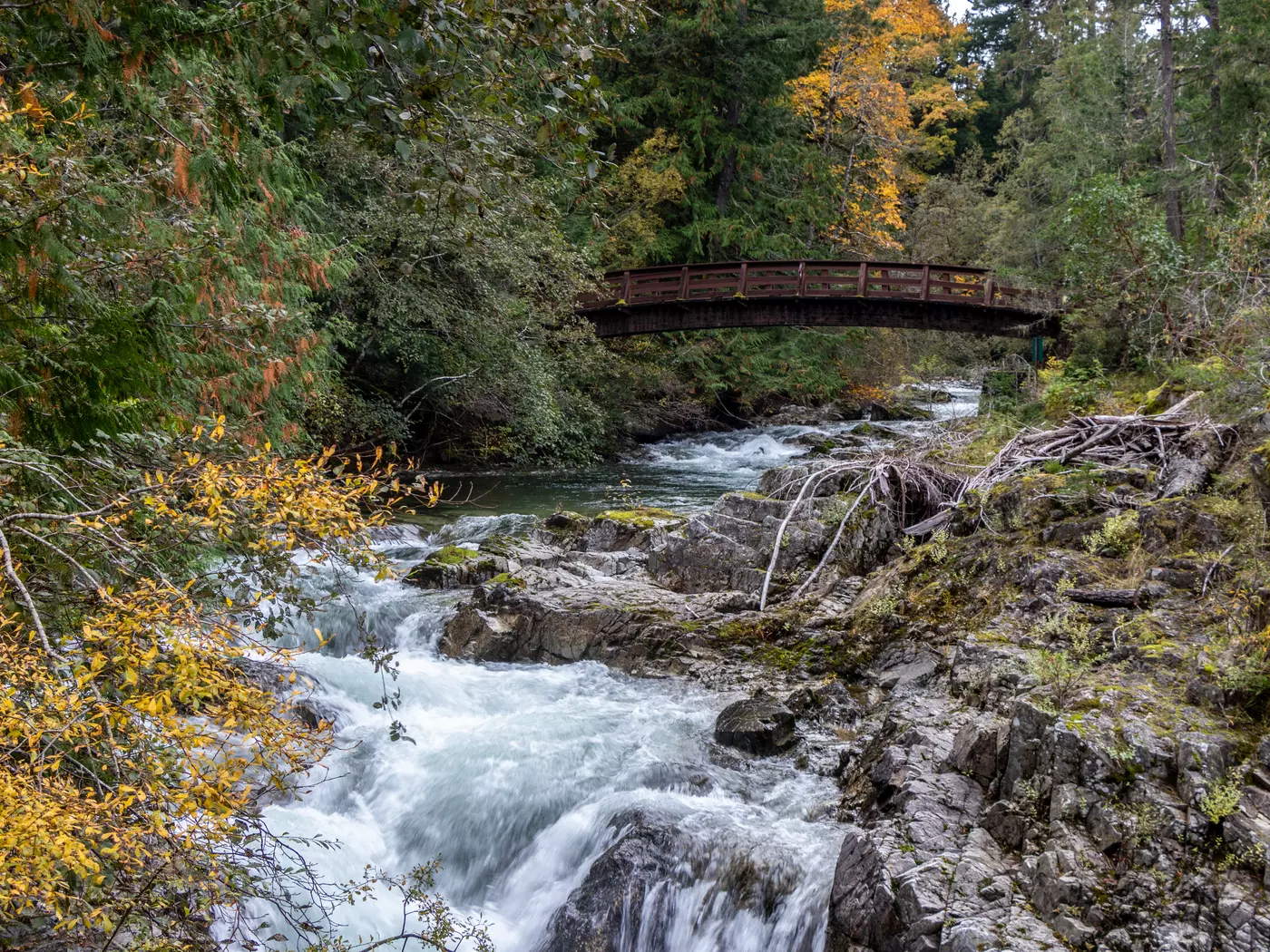 Little Qualicum Falls Provincial Park