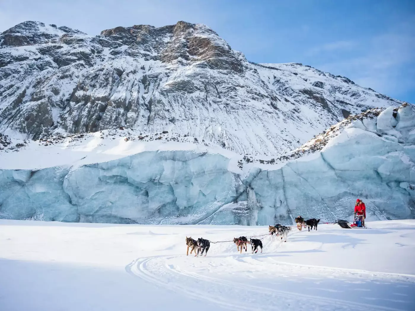 Dog Sledding at Black Rapids