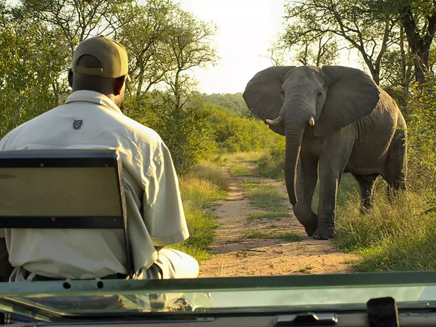 Lukimbi Safari Lodge