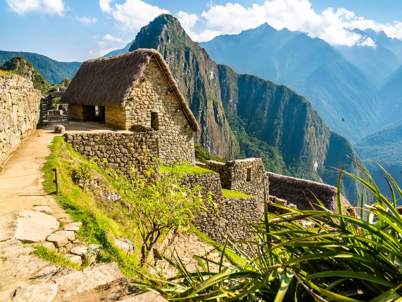 Machu Picchu