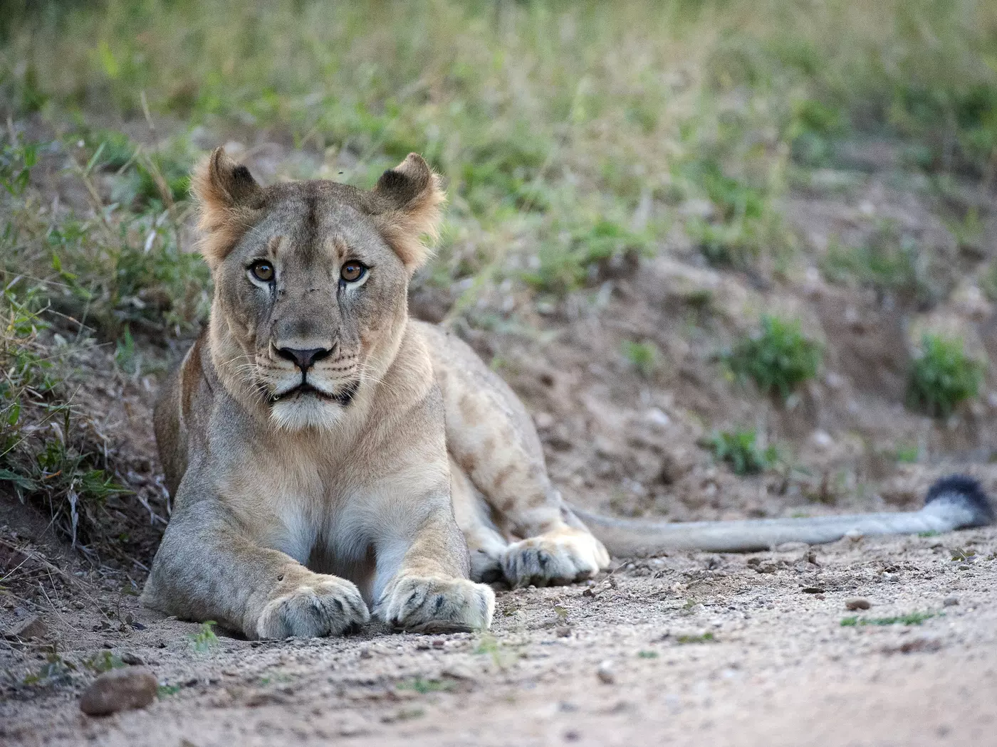 Majete Wildlife Reserve