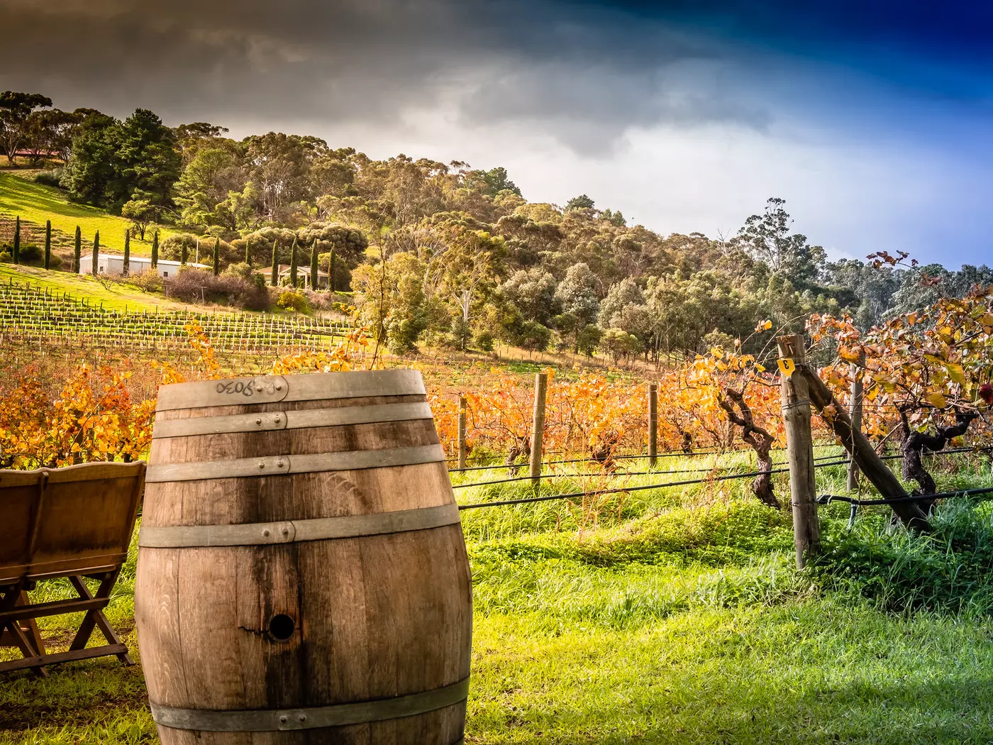McLaren Vale