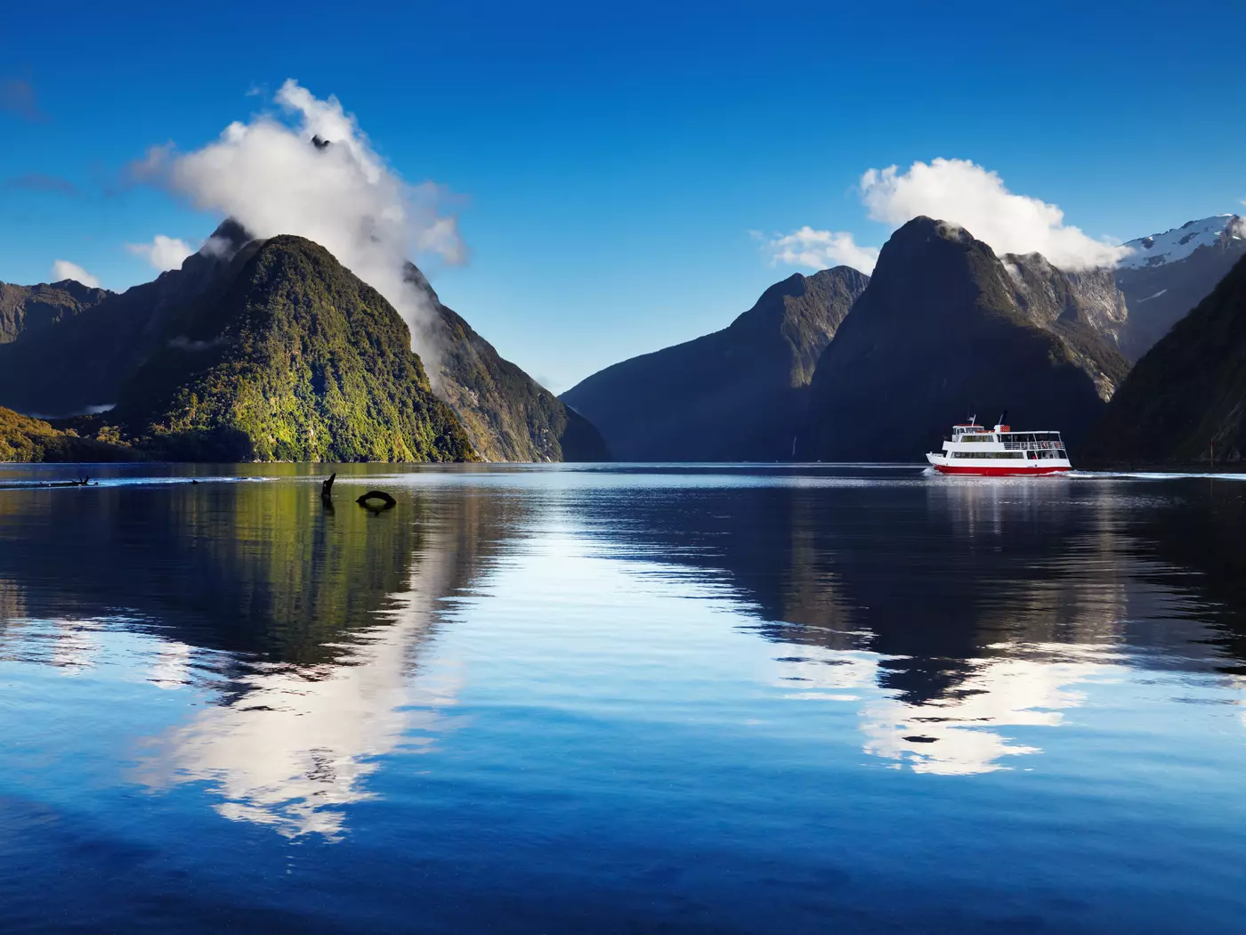 Enjoy a cruise on Milford Sound