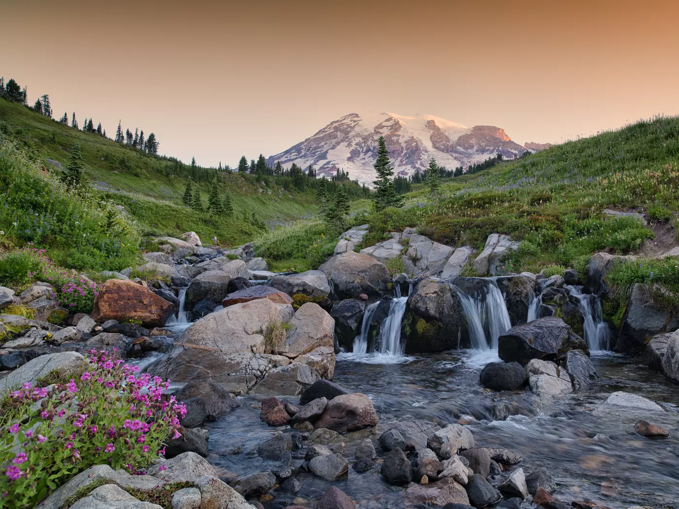 Mount Rainier National Park
