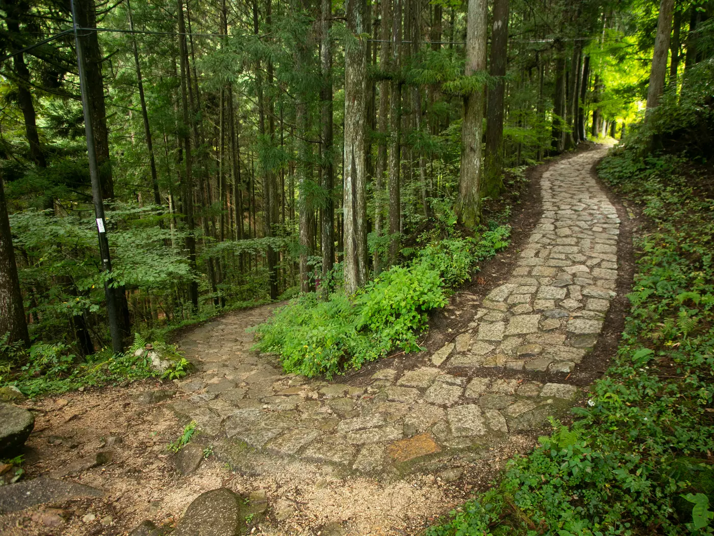 Nakasendo Trail