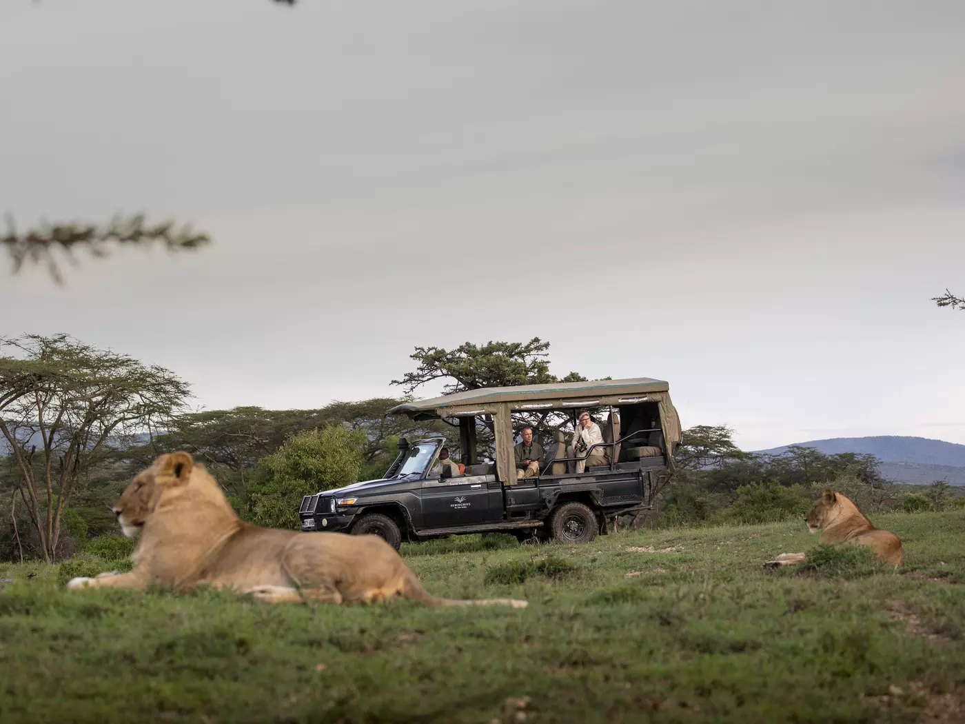Game drives on the Mara