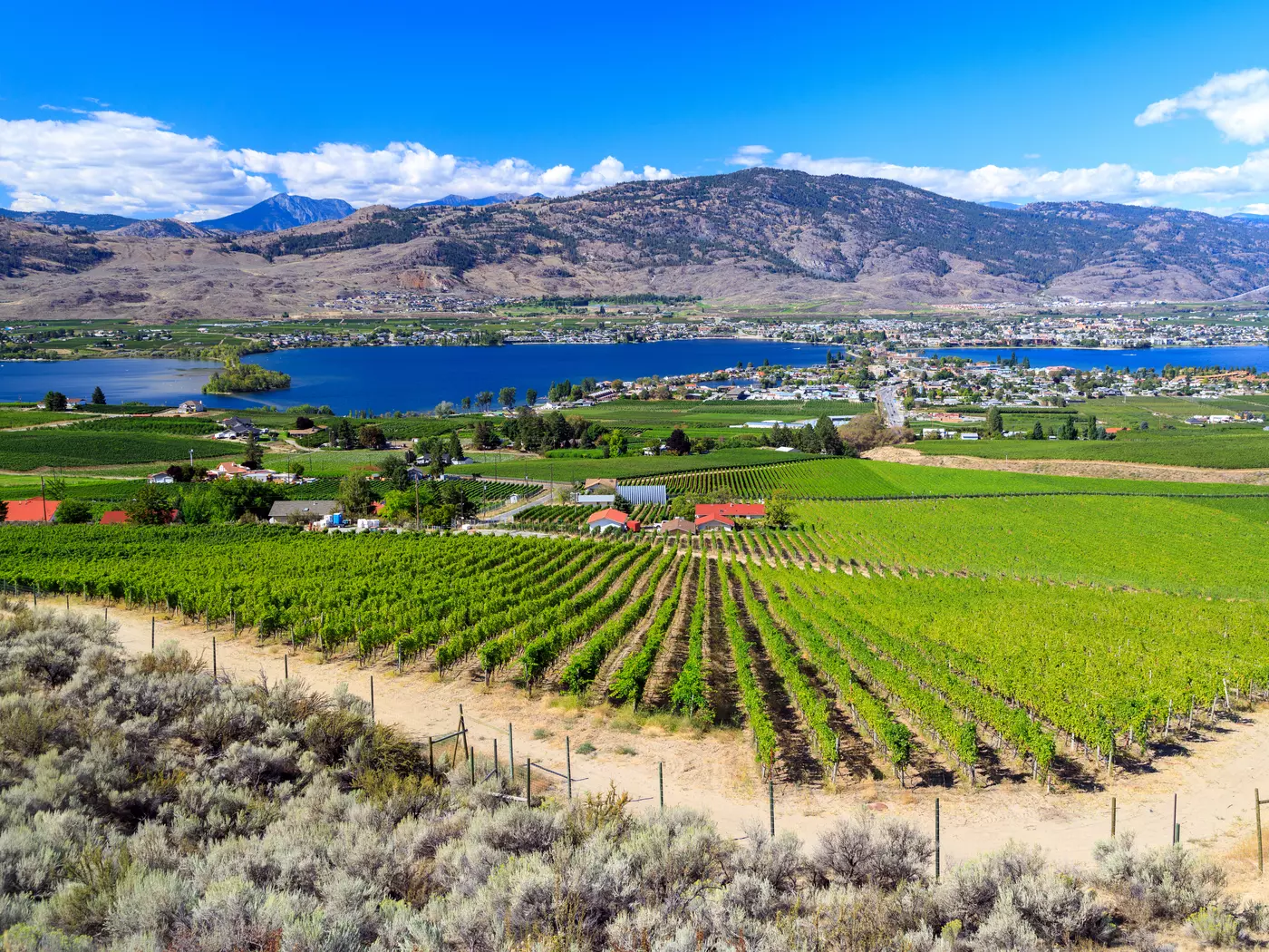Osoyoos Lake